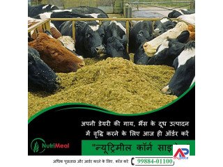 Silage Provider in Punjab