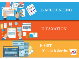 Accounting Certification in Sarita Vihar Delhi, SLA Institute, Taxation, Tally, GST & SAP FICO Course, 100% Job Guarantee