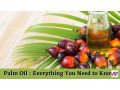 palm-oil-everything-you-need-to-know-small-0