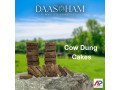 making-cow-dung-cake-small-0