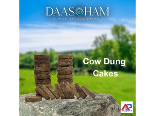 Making Cow Dung Cake