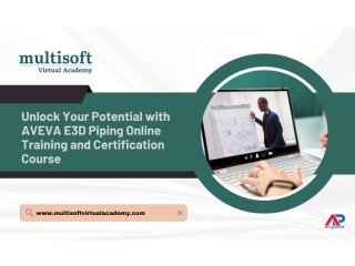 Unlock Your Potential with AVEVA E3D Piping Online Training and Certification Course