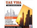 2-years-freelancer-visa971568201581-small-4