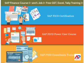 SAP FICO Course in Delhi, Laxmi Nagar, SLA Institute, Accounting, Taxation, Tally, GST, Finance Classes with 100% Job