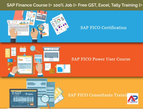 sap-fico-course-in-delhi-laxmi-nagar-sla-institute-accounting-taxation-tally-gst-finance-classes-with-100-job-big-0