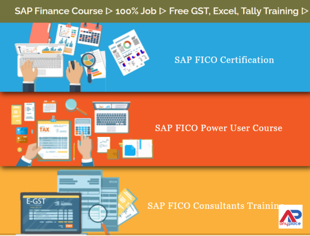 best-sap-fico-course-in-delhi-chandni-chowk-free-accounting-finance-certification-free-demo-classes-special-offer-till-aug23-big-0