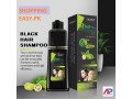 lichen-hair-color-shampoo-price-in-pakistan-92-3476961149-small-0
