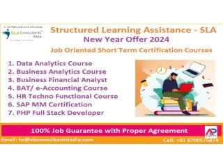 Program in Business Accounting and Taxation - Delhi by Structured Learning Assistance - SLA Accounts, Taxation and Tally Institute,