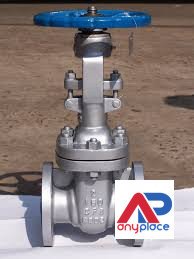 gate-valves-in-kolkata-big-0