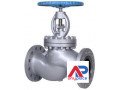 globe-valves-in-kolkata-small-0