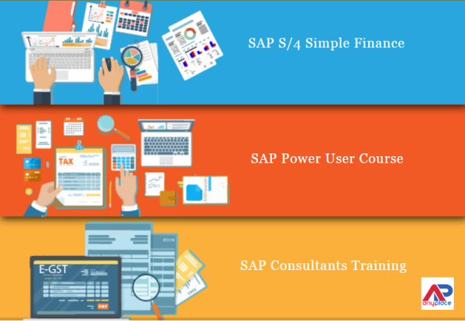 sap-fico-institute-in-rajendra-place-delhi-sla-institute-accounting-taxation-tally-gst-certification-100-job-with-best-salary-big-0