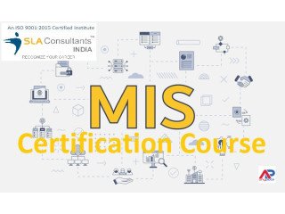 MIS Institute in Delhi, Ghaziabad, SLA Analytics Institute, Excel, VBA, SQL, Python Certification, 100% Job in MNC, Best Offer,