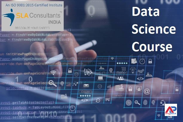 complete-data-science-coaching-classes-with-100-job-placement-at-sla-consultants-india-big-0