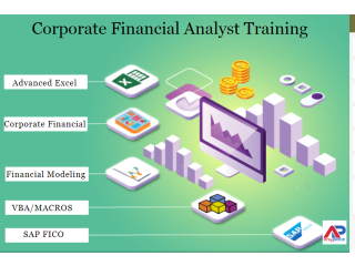 Why Should You Join Financial Modeling Training in SLA Consultants India?