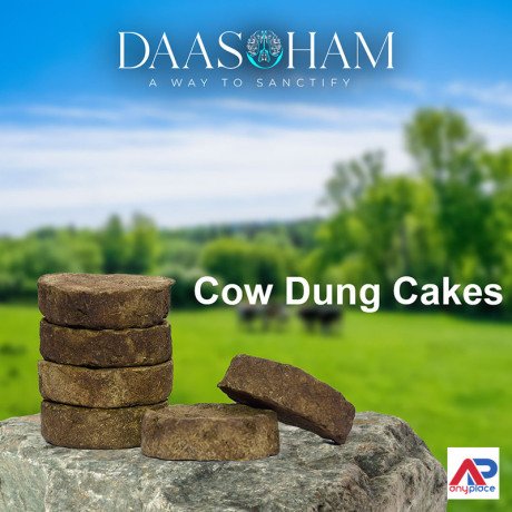 cow-dung-cakes-used-for-big-0