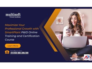 Maximize Your Professional Growth with SmartPlant P&ID Online Training and Certification Course!