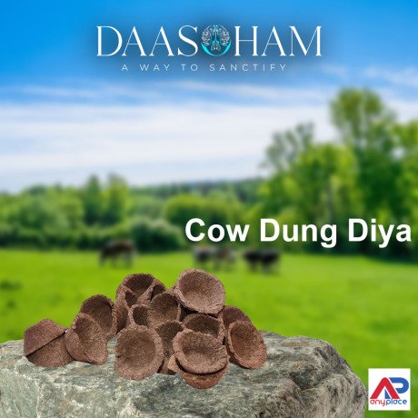 cow-dung-diya-big-0