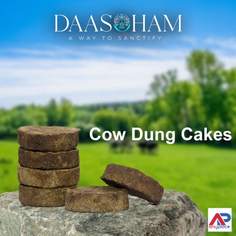 cow-dung-cake-for-ganesha-homa-big-0