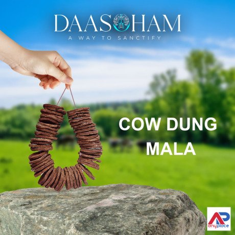 dung-cake-amazon-in-delhi-big-0