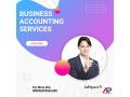 business-accounting-services-small-0
