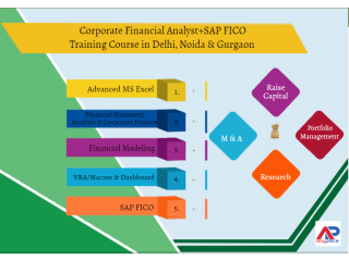 Best Financial Analyst Course, Delhi, Best Offer, 100% Job, Free Demo Classes,
