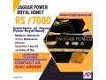 jaguar-power-royal-honey-in-peshawar-03476961149-small-0