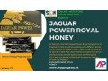 jaguar-power-royal-honey-in-hadali-03476961149-small-0