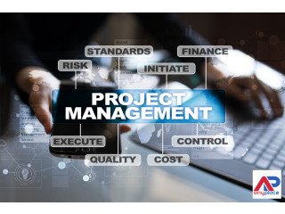 Opsalt : Project Management as a Service