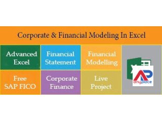 Financial Modeling Course in Delhi, 110041. Best Online Live Financial Analyst Training in Bangalore by IIT Faculty , [ 100% Job in MNC]