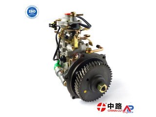 Injection Pump 2644H201