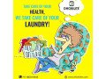 laundry-online-small-0
