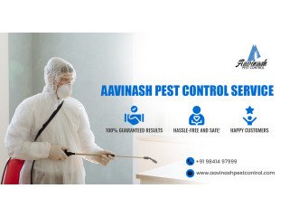 Best Pest Control Services experts in Chennai  Aavinashpestcontrol